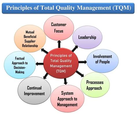 what are the principles guiding total quality management